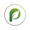 Logo PT. Prima Khatulistiwa Sinergi dengan huruf P yang dihiasi daun pada bagian tengah